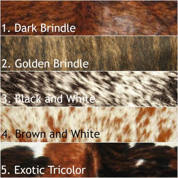 Cowhide Color Swatches