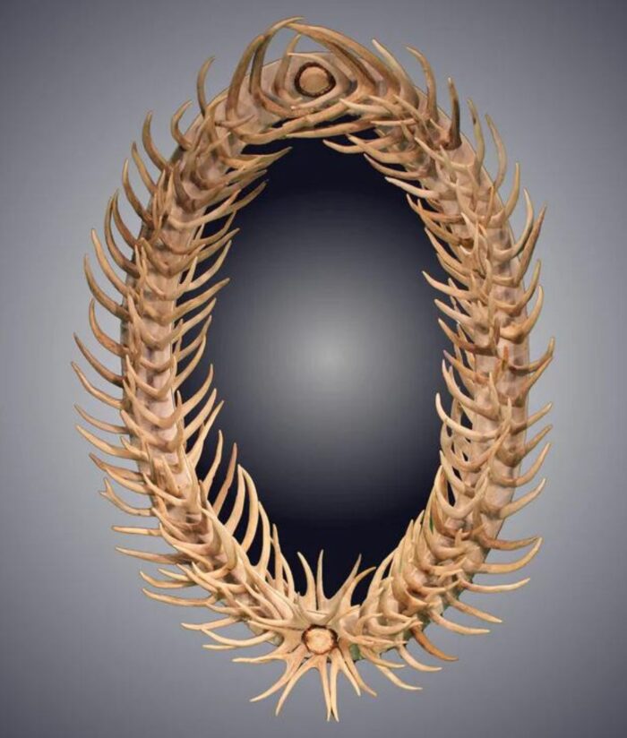 antler mirror oval