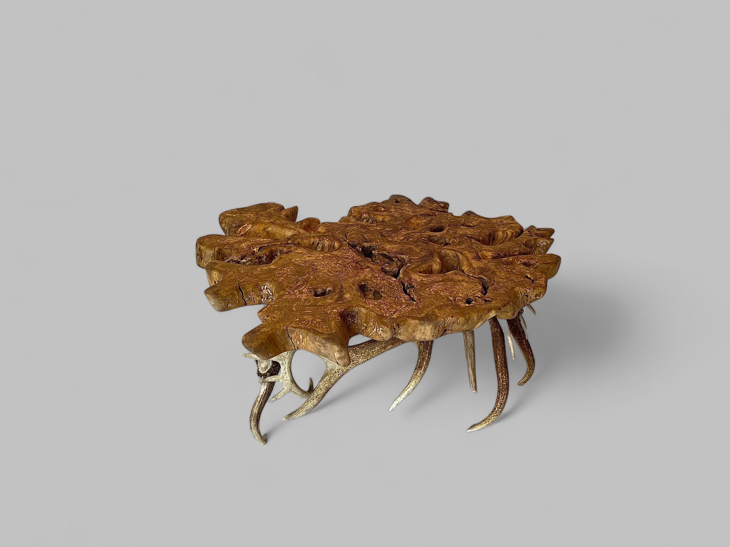 Olive Root Elk Coffee Table