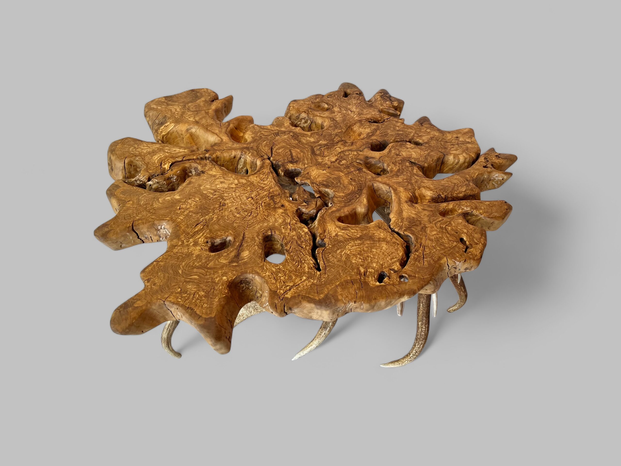 Olive Root Elk Coffee Table - Image 2
